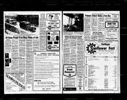 Castlegar News 1976-07-22, page 4