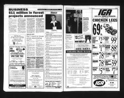   Castlegar Sun 1995-03-29   , page 12