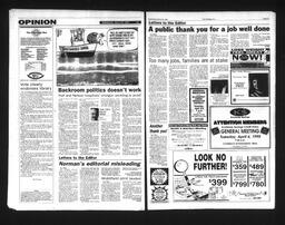   Castlegar Sun 1995-03-29   , page 4