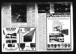 Castlegar News 1984-03-25, page 18