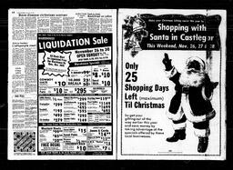 Castlegar News 1981-11-25, page 13