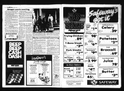 Castlegar News 1985-03-13, page 3