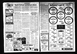 Castlegar News 1987-02-04, page 3