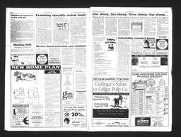   Castlegar Sun 1993-08-04   , page 9