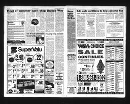   Castlegar Sun 1995-08-02   , page 11