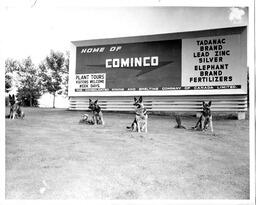 CM&S Company Dogs