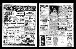 Castlegar News 1961-11-23, page 3
