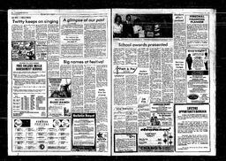 Castlegar News 1982-07-04, page 4
