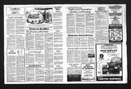 Castlegar News 1985-08-11, page 3