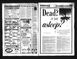  Castlegar Sun 1994-04-06   , page 10