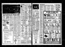 Castlegar News 1973-09-06, page 7