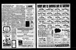 Castlegar News 1967-04-13, page 2