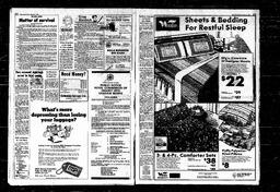 Castlegar News 1980-01-16, page 8
