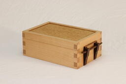 Lightening Handle Box