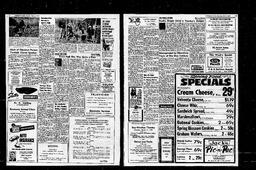 Castlegar News 1967-03-02, page 3