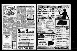 Castlegar News 1967-04-20, page 2