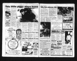   Castlegar Sun 1995-10-25   , page 3