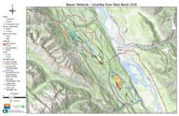 Wildsight Golden - Beaver Wetland Overview (with dams): Tabloid