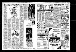 Castlegar News 1980-05-04, page 3