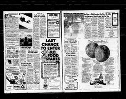 Castlegar News 1976-08-19, page 4