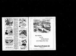 Castlegar News 1978-12-21, page 15