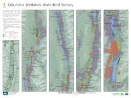 Golden (Wildsight Golden) - Columbia Wetlands Waterbird Survey