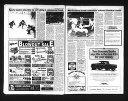   Castlegar Sun 1995-03-29   , page 11