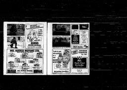 Castlegar News 1979-07-12, page 19