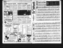 Castlegar News 1990-12-22, page 6