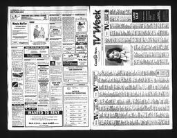 Castlegar News 1990-06-02, page 5
