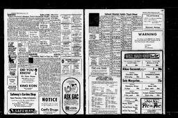 Castlegar News 1967-06-08, page 3