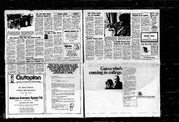 Castlegar News 1974-01-10, page 8