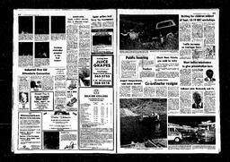 Castlegar News 1980-09-07, page 2