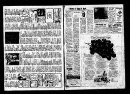Castlegar News 1977-09-22, page 13
