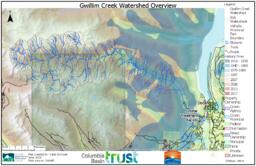 Slocan Waterfront Restoration - Gwillim Creek Watershed Overview