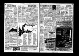 Castlegar News 1980-12-17, page 4