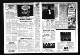 Castlegar News 1987-04-05, page 3