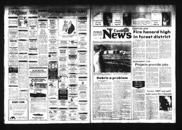 Castlegar News 1984-07-29, page 1