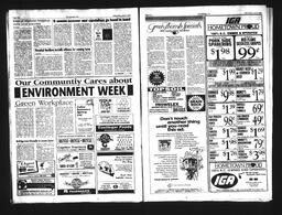   Castlegar Sun 1994-06-08   , page 6