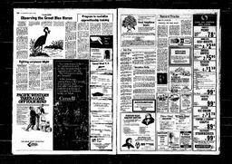 Castlegar News 1980-08-13, page 5