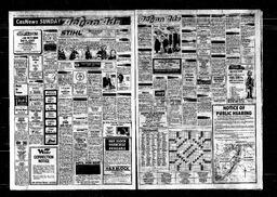 Castlegar News 1982-11-21, page 8