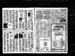 Castlegar News 1981-03-04, page 8