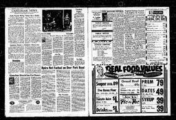 Castlegar News 1965-02-25, page 3