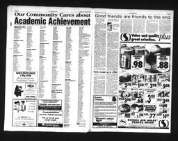   Castlegar Sun 1995-07-26   , page 11