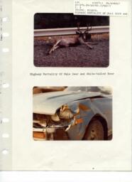 Highway Mortality of Mule Deer and White-tailed Deer