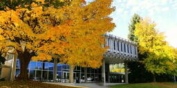 Castlegar Courtyard in Fall: 