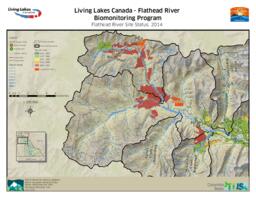 Flathead River Biomonitoring Program (Living Lakes Canada) - Flathead River Site Status 2014