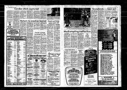 Castlegar News 1982-08-22, page 7