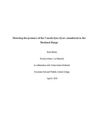 Detecting the presence of the Canada lynx (Lynx canadensis) in the Rossland Range