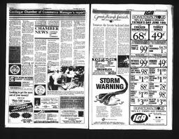   Castlegar Sun 1994-06-15   , page 6